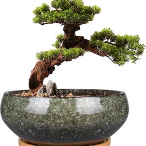 8 Inch Ceramic Bonsai Planter Pot, Glazed Shallow Succulent Planter with Drainage Hole and Bamboo Saucer for Indoor Plants, Brown